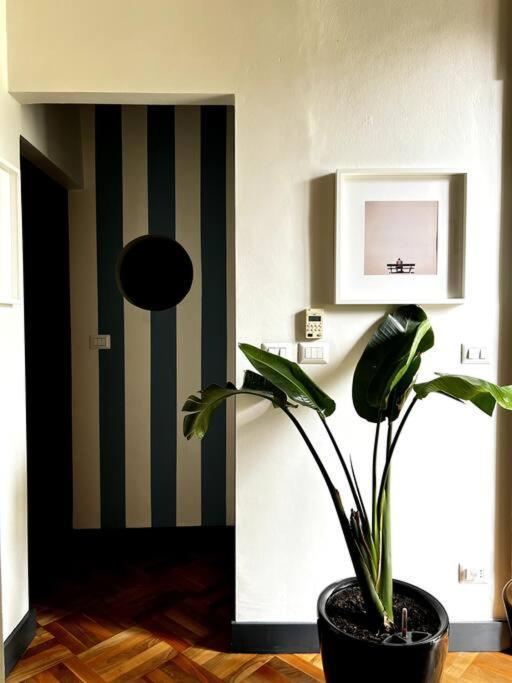 Lavi' Elegante Luminoso